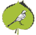 Latvijas dabas muzejs latvijas_dabas_muzejs