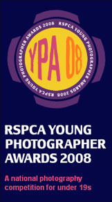 YPA 2008 YPA 2008