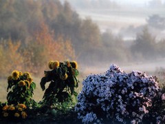 Egļevas noskaņas. A.Bondarenko foto