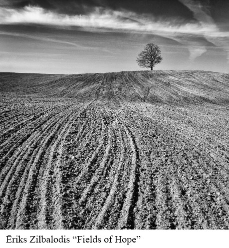 Ēriks Zilbalodis "Fields of Hope"