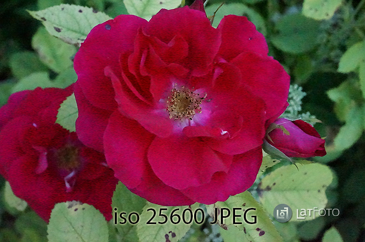 Sony NEX-6 iso 25600 JPEG