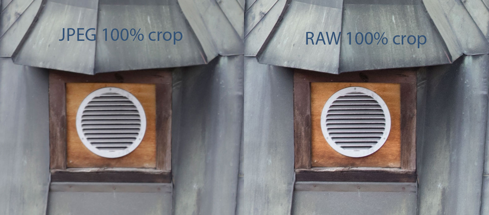 jpeg vs raw