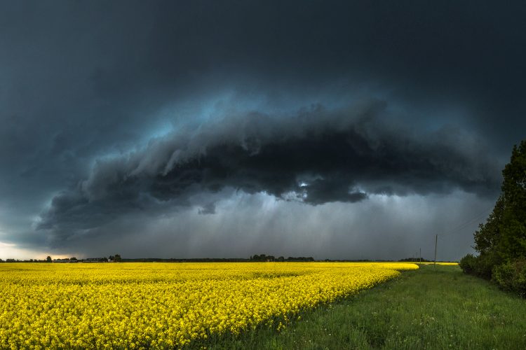 © Jānis Paļulis, 1. vieta, Latvijas Nacionālā atlase, Sony Pasaules fotogrāfijas balva 2016 © Jānis Paļulis, 1. vieta, Latvijas Nacionālā atlase, Sony Pasaules fotogrāfijas balva 2016