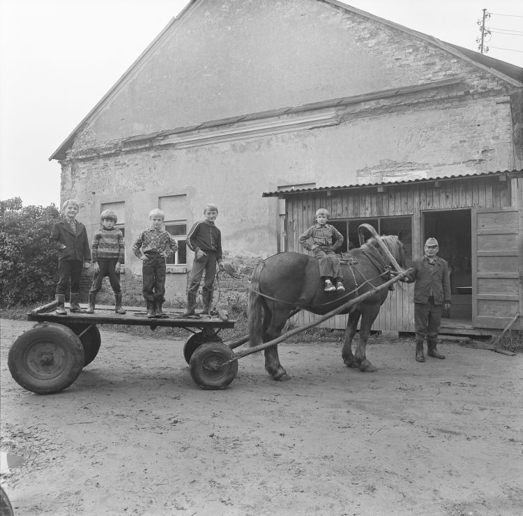 Māra Brašmane Vircava 1980